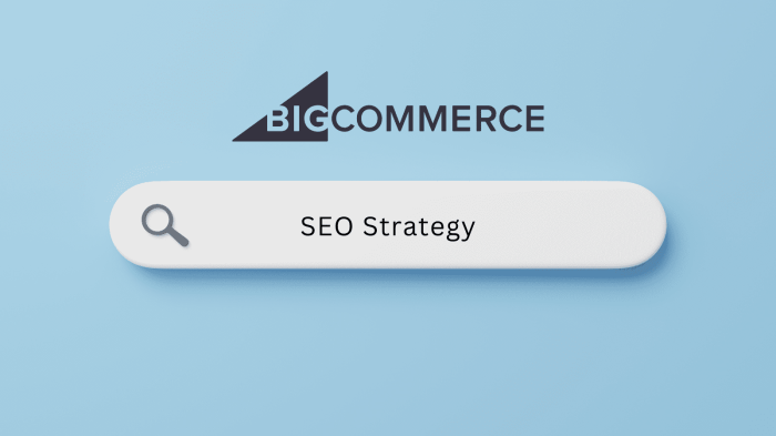 BigCommerce SEO Agency | BigCommerce SEO Services in India BigCommerce SEO Agency | BigCommerce SEO Services in India