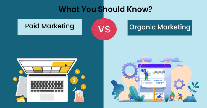 Organic marketing vs. paid marketing — differences and benefits Organic marketing vs. paid marketing — differences and benefits